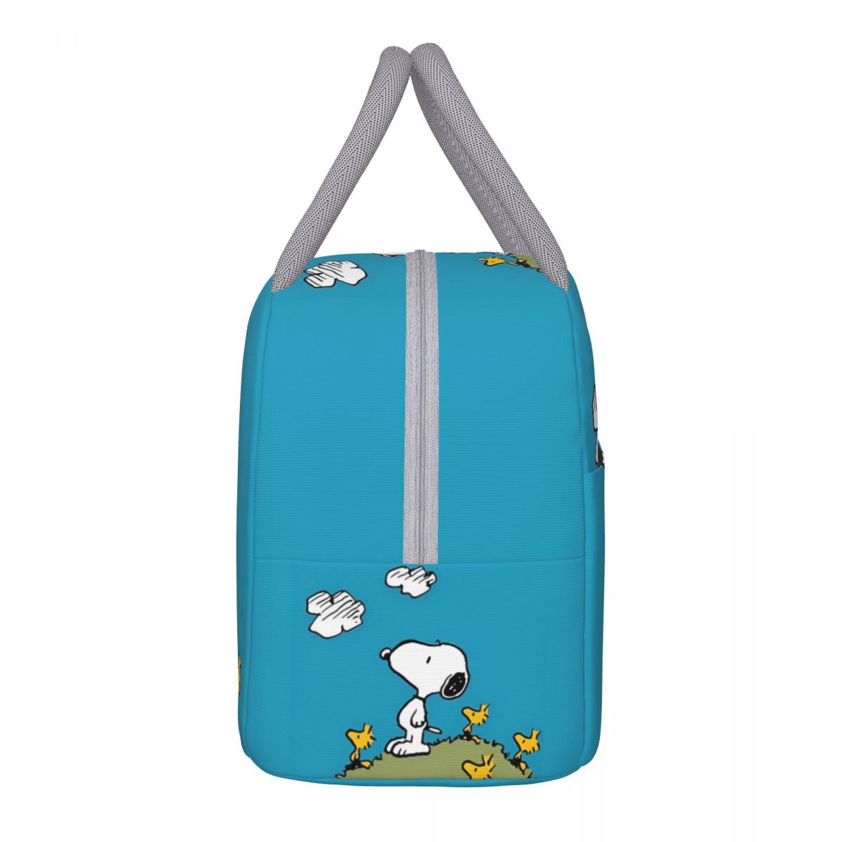 스누피 땅콩단지 보온 도시락 가방 누수 방지 식사 용기 - Tote Bag Sublimation 리뷰 및 가격